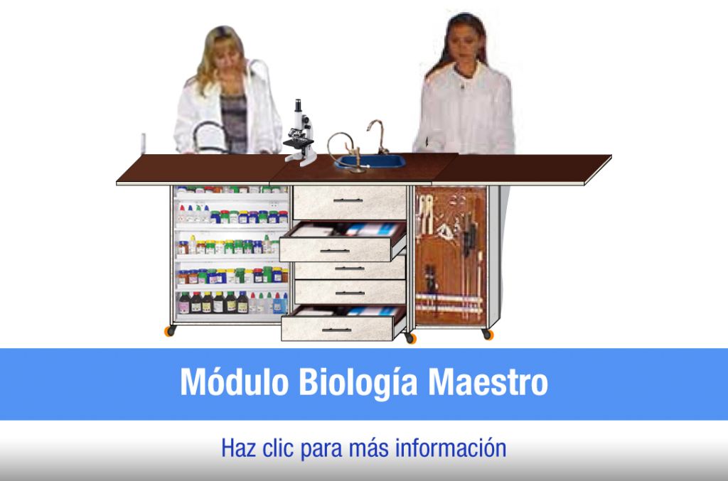 tl_files/2021/LABORATORIO OFEC/Modulo-Biologia-Maestro.jpg